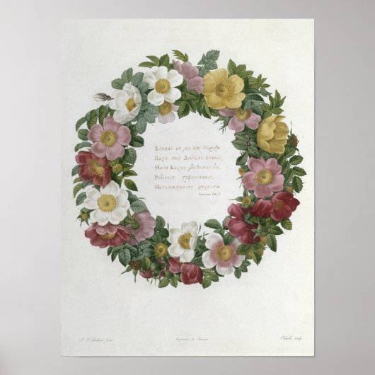 Weihnachts-Rose Poster (Vorne)