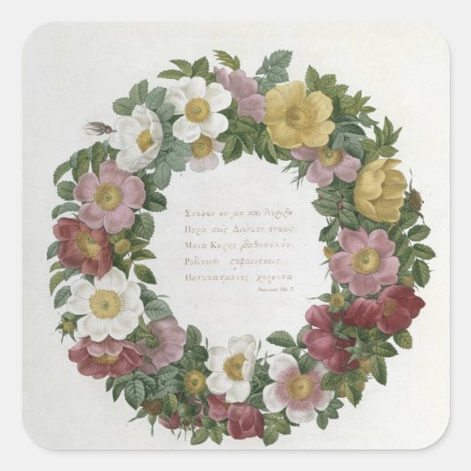 Weihnachts-Rose Quadratischer Aufkleber (Vorderseite)