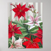 Weihnachts-Rote Amaryllis und Poinsettias Poster (Vorne)
