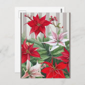 Weihnachts-Rote Amaryllis und Poinsettias Postkarte (Vorne/Hinten)