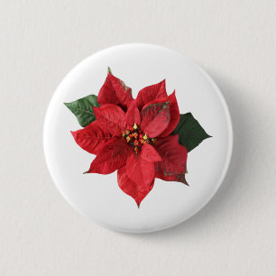 Weihnachts-Rote Poinsettie Button
