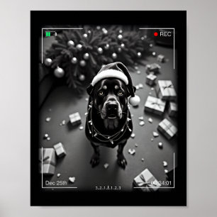 Weihnachts-Rottweiler auf Kamera erwischt Poster