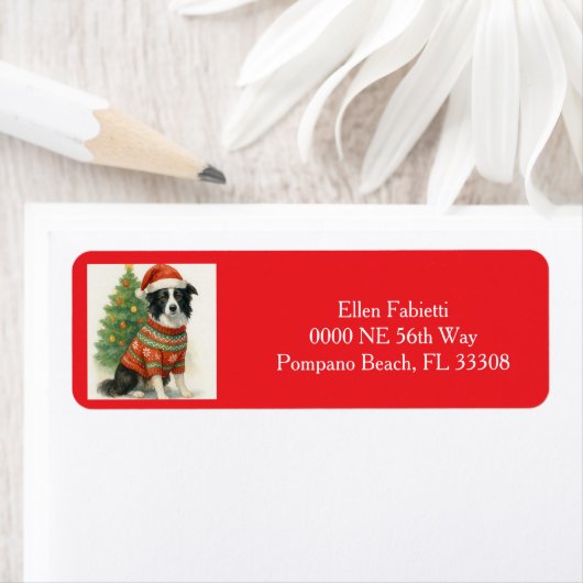 Weihnachts-Rücksendeadresse Border Collie Santa (Insitu)