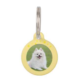 Weihnachts-Rundum-Pet-Tag – Festliches Feiertags-I Haustiermarke