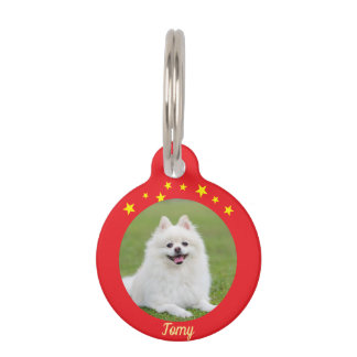 Weihnachts-Rundum-Pet-Tag – Festliches Holiday-ID- Haustiermarke