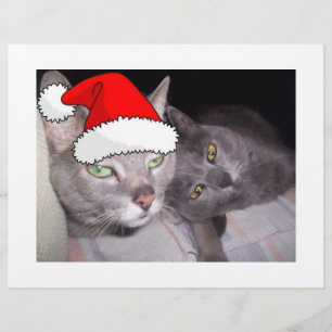 Weihnachts-Russisch Blau Graue Katzen Flyer