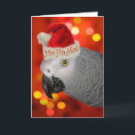 Weihnachts-Santa African Gray Parrot Feiertagskarte<br><div class="desc">Die Weihnachtskarte für Papageienliebhaber mit festlichem rot-farbigem Hintergrund und einem bezaubernden Afrikanischen Grau Papagei in einer Weihnachtsmannmütze.</div>