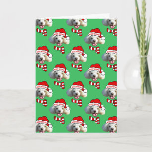 Weihnachts-Santa-Hund Individuelles Foto-Muster Karte