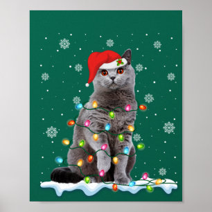 Weihnachts Santa Katze Britisch Kurzhaar Katzenlie Poster