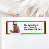 Weihnachts Santa Raccoon Bandit (Insitu)