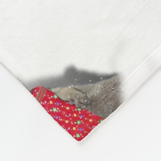 Weihnachts Santa Raccoon Bandit Fleecedecke (Ecke)