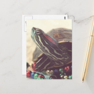 Weihnachts-Schildkröte Postkarte