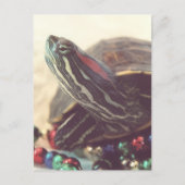 Weihnachts-Schildkröte Postkarte (Vorderseite)
