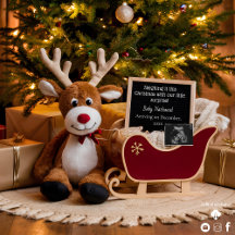 Weihnachts-Schlitten-Schwangerschaftsankündigung