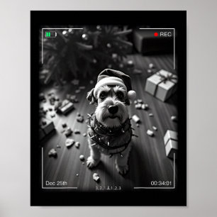 Weihnachts-Schnauzer auf Kamera erwischt Poster