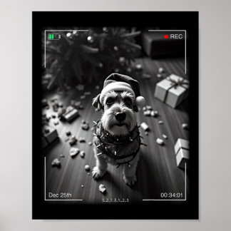 Weihnachts-Schnauzer auf Kamera erwischt Poster