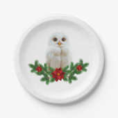 Weihnachts-Schnee-Eule Pappteller (Vorderseite)