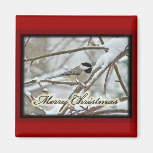 Weihnachts-Schwarz-Chickadee im Schnee Magnet