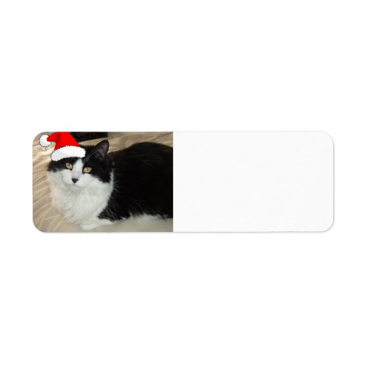 Weihnachts-Schwarz-Weiß-Katze (Vorne)