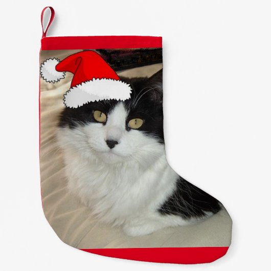 Weihnachts-Schwarz-Weiß-Katze Kleiner Weihnachtsstrumpf (Vorderseite)