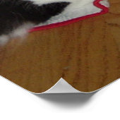 Weihnachts-Schwarz-Weiß-Katze Poster (Ecke)