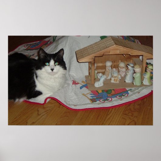 Weihnachts-Schwarz-Weiß-Katze Poster (Vorne)