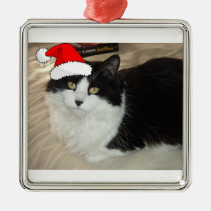 Weihnachts-Schwarz & Weiße Kitekatze Silbernes Ornament