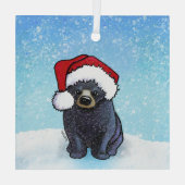 Weihnachts-Schwarzbärenkuppe Ornament Aus Glas (Rückseite)