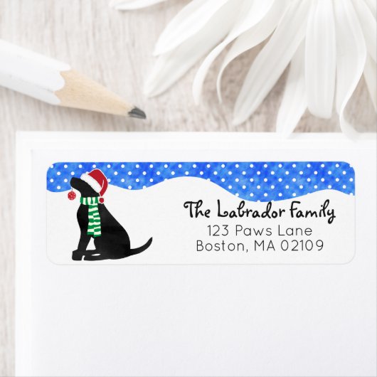 Weihnachts-Schwarzklassehund (Insitu)