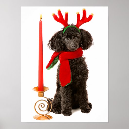Weihnachts-Schwarzspielzeug-Poodle-Hund als Rentie Poster (Vorne)