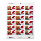 Weihnachts-Spitz Adressaufkleber (Vorne)