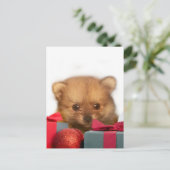 Weihnachts-Spitz Feiertagspostkarte (Stehend Vorderseite)