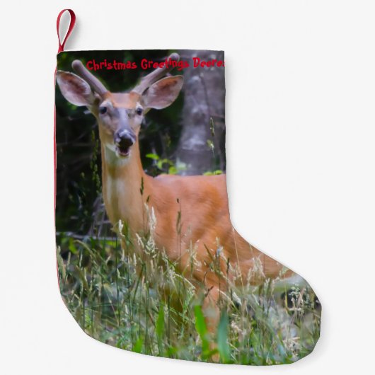 Weihnachts-Strumpf Kleiner Weihnachtsstrumpf (Vorderseite)