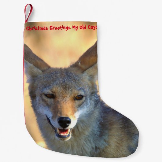 Weihnachts-Strumpf Mein alter Coyote Kleiner Weihnachtsstrumpf (Vorderseite)