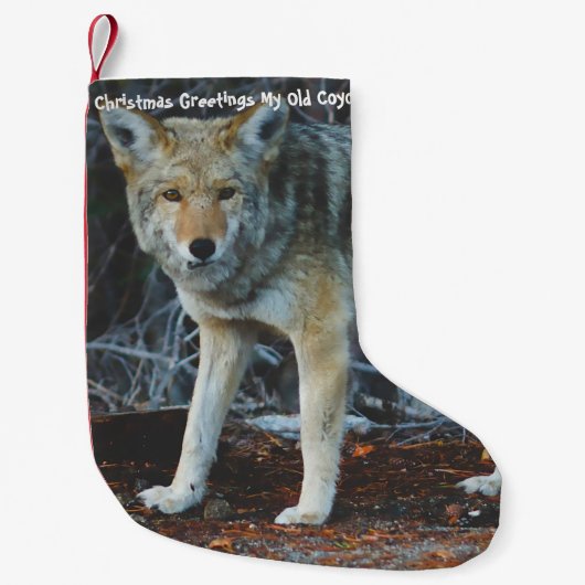 Weihnachts-Strumpf Mein alter Coyote Kleiner Weihnachtsstrumpf (Vorderseite)