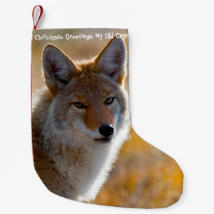 Weihnachts-Strumpf Mein alter Coyote Kleiner Weihnachtsstrumpf
