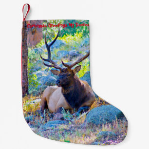 Weihnachts-Strumpf Mein alter Verdienst Kleiner Weihnachtsstrumpf