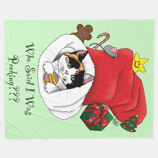 Weihnachts-Strumpf Niedlich Calico Kitten Fleecedecke (Vorderseite (Horizontal))