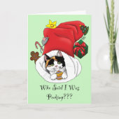 Weihnachts-Strumpf Niedlich Calico Kitten Karte (Vorderseite)