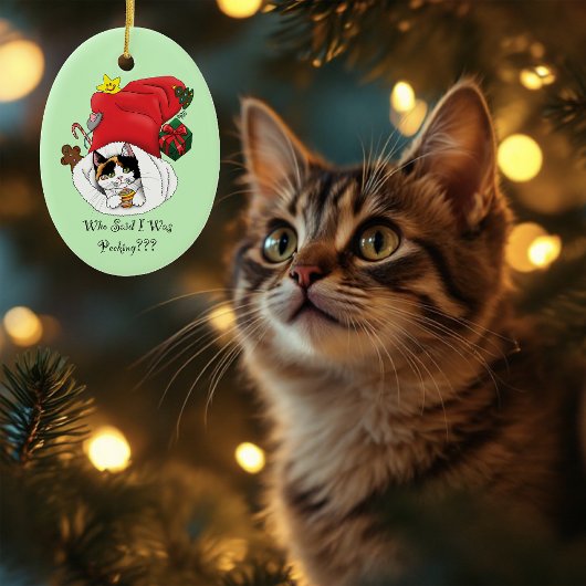 Weihnachts-Strumpf Niedlich Calico Kitten Keramik Ornament