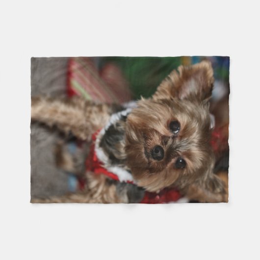 Weihnachts-Süsse Fleecedecke (Vorderseite (Horizontal))