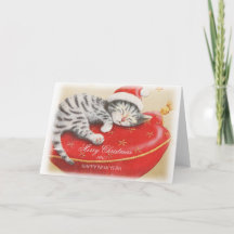 Weihnachts süße Katze