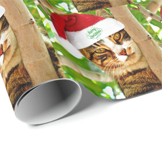 Weihnachts Tabby Katze in einem Baum Geschenkpapier (Rolleneckpunkt)