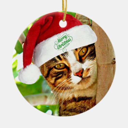 Weihnachts Tabby Katze in einem Baum Keramik Ornament (Vorne)