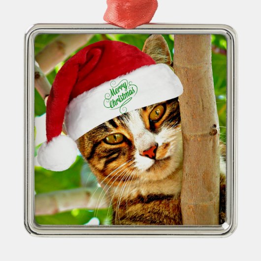 Weihnachts Tabby Katze in einem Baum Ornament Aus Metall (Vorne)