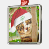 Weihnachts Tabby Katze in einem Baum Ornament Aus Metall (Links)