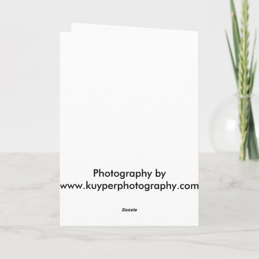 Weihnachts-Tiger-Grußkarte Feiertagskarte (Rückseite)