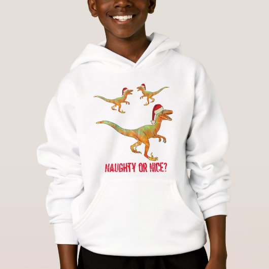 Weihnachts Velociraptor Funny Raptor Dinosaurier Z Hoodie (Vorderseite)