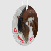 Weihnachts-Weihnachtsakrylus Ornament (Vorderseite)