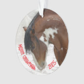 Weihnachts-Weihnachtsakrylus Ornament (Vorderseite)